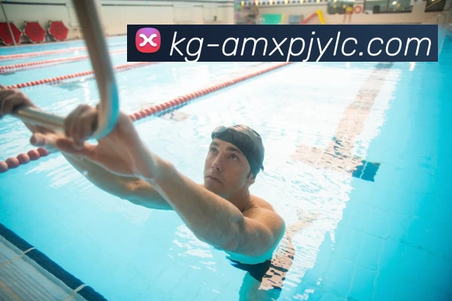 新葡京娱乐平台生态图